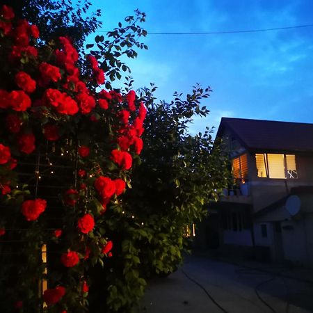 Cristalex Villaverde Bucharest Pantelimon Экстерьер фото