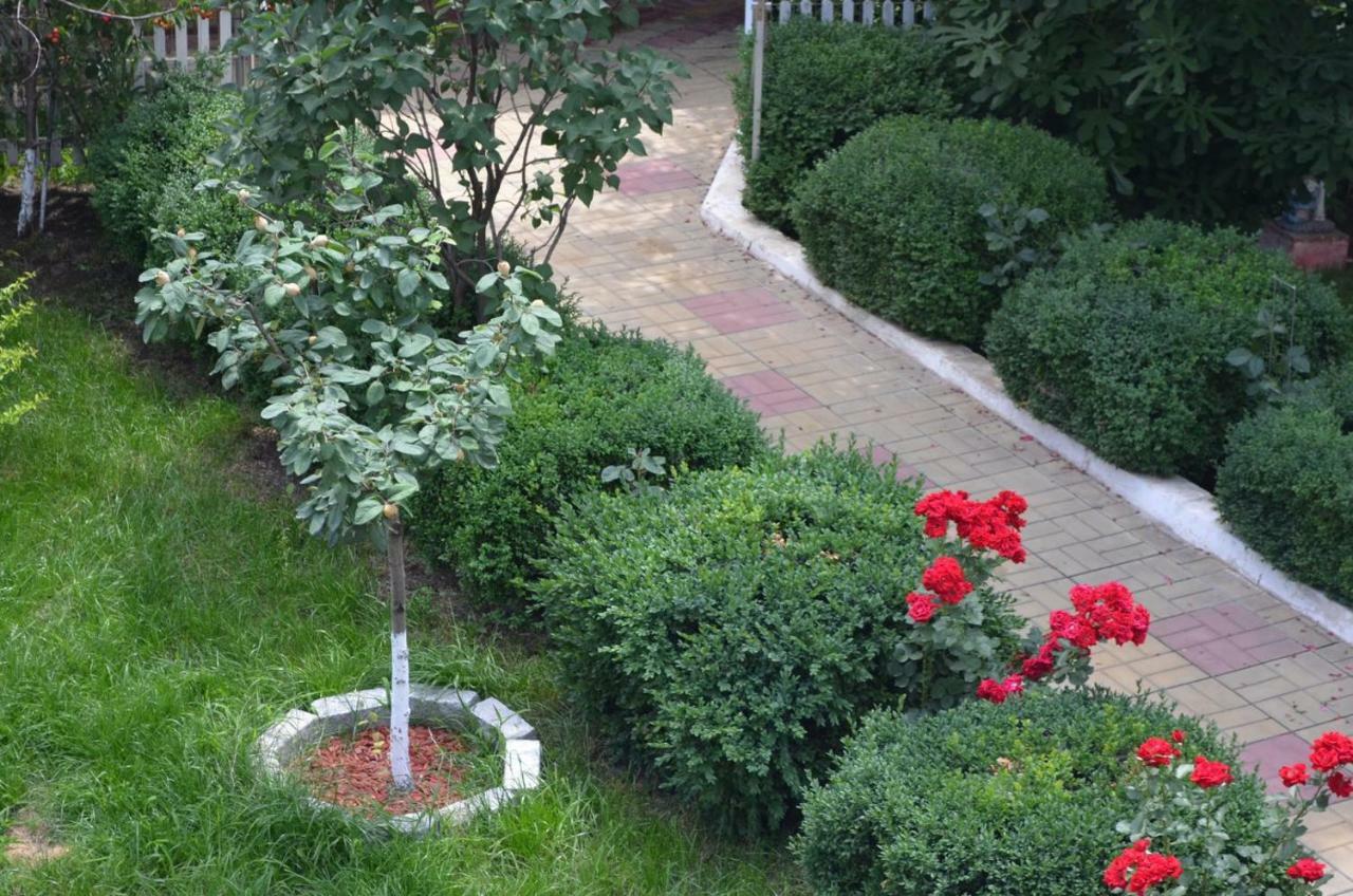 Cristalex Villaverde Bucharest Pantelimon Экстерьер фото